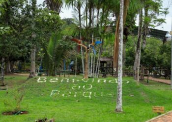 Prefeitura organiza evento para o mês das mulheres em Porto Velho