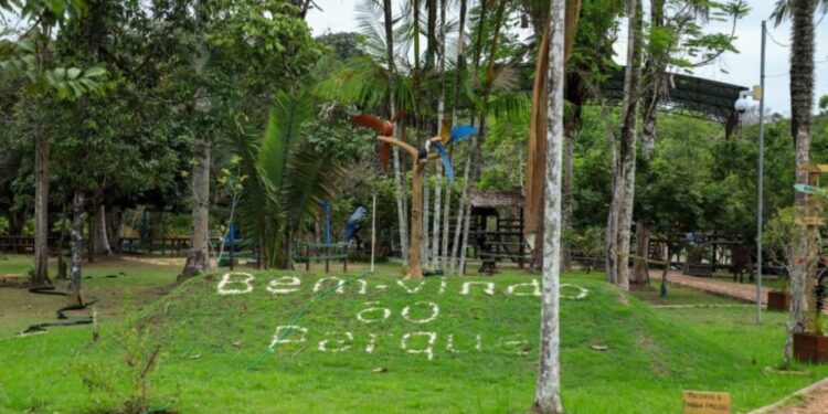 Prefeitura organiza evento para o mês das mulheres em Porto Velho