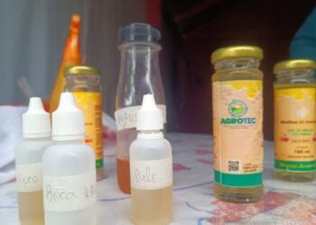 Ações no distrito de Nova Califórnia impulsionam bioeconomia