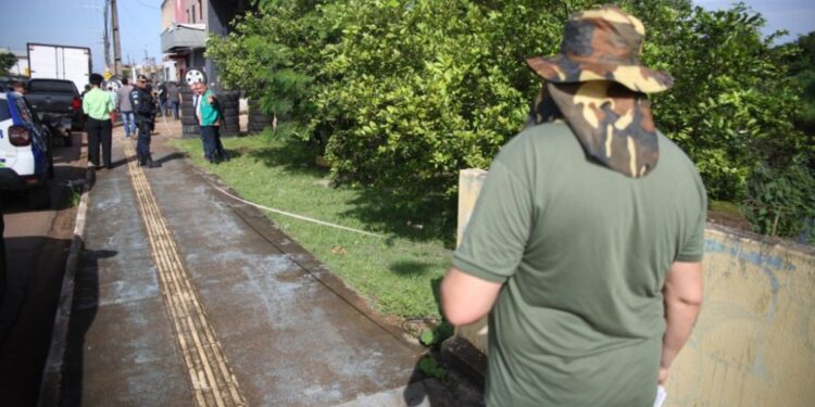 Área de preservação invadida por borracharia é recuperada pela Prefeitura