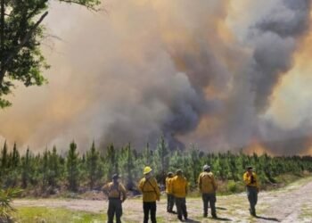 Após orações, chuva ajuda a conter incêndio florestal na Geórgia: “Foi uma bênção”
