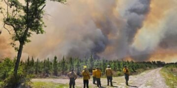 Após orações, chuva ajuda a conter incêndio florestal na Geórgia: “Foi uma bênção”