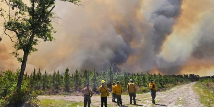Após orações, chuva ajuda a conter incêndio florestal na Geórgia: “Foi uma bênção”