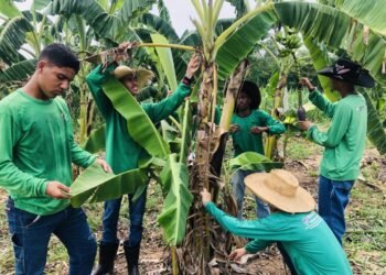 Educação profissional de Rondônia atrai estudantes de outros estados interessados em cursos técnicos voltados ao agronegócio