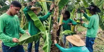 Educação profissional de Rondônia atrai estudantes de outros estados interessados em cursos técnicos voltados ao agronegócio