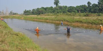 Programa de microcrédito rural impulsiona produção e renda de agricultores familiares em Rondônia