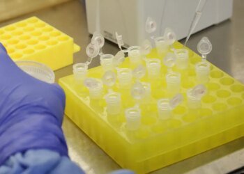 SP confirma segundo caso importado de sarampo