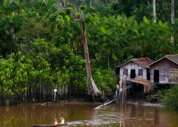 Projeto leva tratamento gratuito a doenças negligenciadas no Amazonas