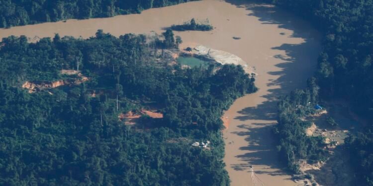 MPF denuncia mineração ilegal na Amazônia à CIDH