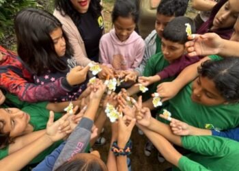 Dia da Abelha mobiliza estudantes em ação educativa sobre preservação ambiental