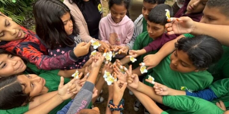 Dia da Abelha mobiliza estudantes em ação educativa sobre preservação ambiental