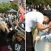 43 pessoas são batizadas durante Marcha para Jesus nos EUA: “Cristo ainda salva”