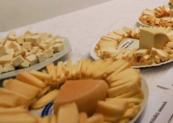 Brasil começa a importar queijo mais barato após acordo Mercosul–UE