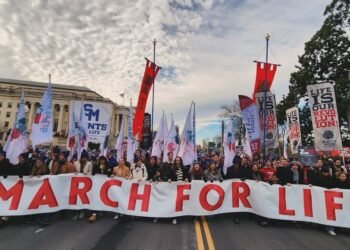 Grupos pró-vida pedem oração às igrejas diante da expansão do aborto na Holanda