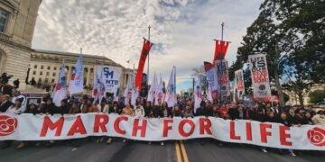 Grupos pró-vida pedem oração às igrejas diante da expansão do aborto na Holanda