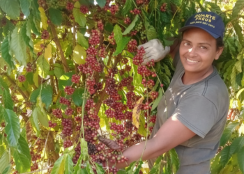 Agricultoras familiares transformam dedicação em força no campo em Porto Velho