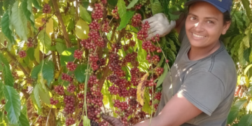 Agricultoras familiares transformam dedicação em força no campo em Porto Velho