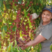 Agricultoras familiares transformam dedicação em força no campo em Porto Velho