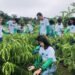 Educação profissional apresenta investimentos em cursos técnicos do agro durante 13ª Rondônia Rural Show Internacional