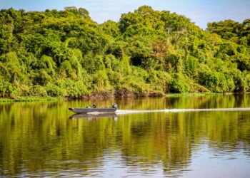 Rondônia conquista redução histórica do desmatamento com ações do governo do estado