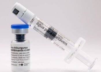 Butantan vai produzir vacina nacional contra chikungunya