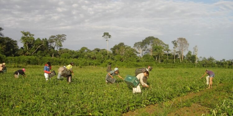 Prêmio para produção acadêmica destaca agricultura familiar