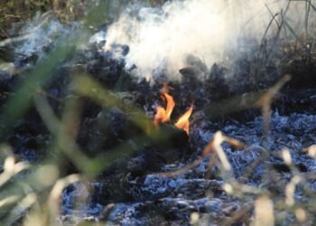 Porto Velho intensifica ações contra às queimadas e se prepara para estiagem