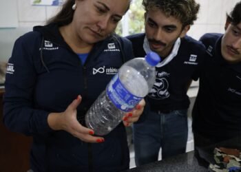 Estudo acha microplástico em 93% de amostra de peixes no litoral do PR