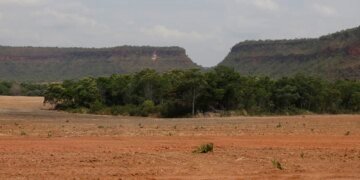 Fragmentos de vegetação nativa cresceram no país 163% em 38 anos