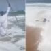 Pastor tenta imitar Moisés para abrir o mar e quase se afoga