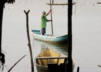 Conferências estaduais de aquicultura e pesca serão em junho e julho| Agência Brasil