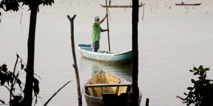 Conferências estaduais de aquicultura e pesca serão em junho e julho| Agência Brasil