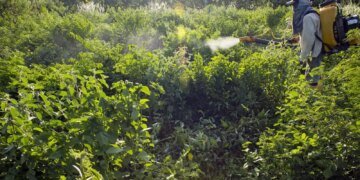 Governo vai monitorar presença de agrotóxico em bacias hidrográficas