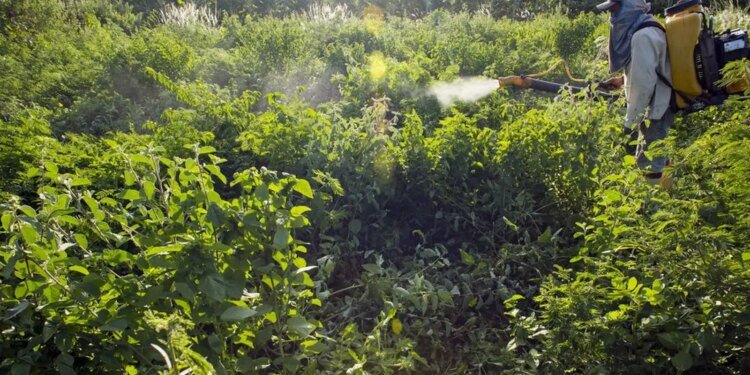 Governo vai monitorar presença de agrotóxico em bacias hidrográficas
