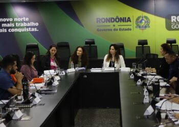 Ações do governo de RO para o combate à violência doméstica são destacadas em reunião do Comitê Estadual Mulher Protegida