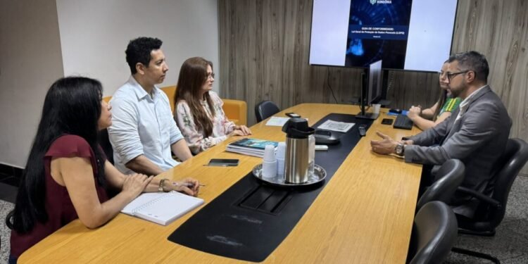 Aplicação da Lei de Proteção e Segurança de Dados é tema de reunião entre órgãos estaduais