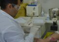 Sintomas da doença falciforme vão além da anemia; saiba mais