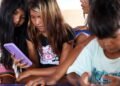 Formação digital quer preparar líderes comunitários de cada bioma