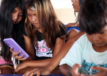 Formação digital quer preparar líderes comunitários de cada bioma
