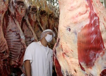 Empresas privadas poderão se credenciar na Idaron para inspeção sanitária em frigoríficos de Rondônia