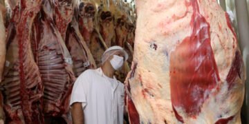 Empresas privadas poderão se credenciar na Idaron para inspeção sanitária em frigoríficos de Rondônia