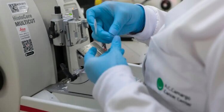 SUS inclui nova terapia para pacientes adultos com leucemia mieloide