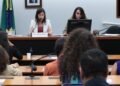 Instituto critica PL da Misoginia e alerta sobre liberdade de expressão