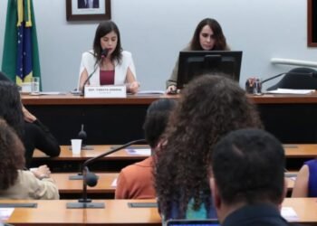 Instituto critica PL da Misoginia e alerta sobre liberdade de expressão