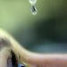 Uso indiscriminado de corticoides pode causar glaucoma e cegueira