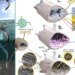 Estudo revela preservação de tecidos de pterossauro por 113 milhões