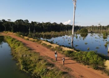Seminário de Regularidade Ambiental promove capacitação para produtores e técnicos em Ariquemes