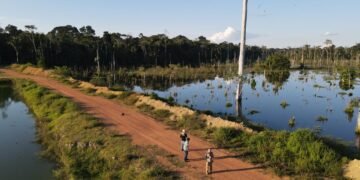 Seminário de Regularidade Ambiental promove capacitação para produtores e técnicos em Ariquemes