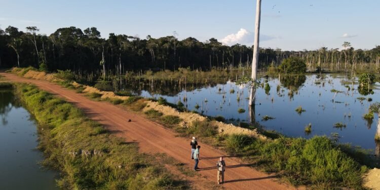 Seminário de Regularidade Ambiental promove capacitação para produtores e técnicos em Ariquemes
