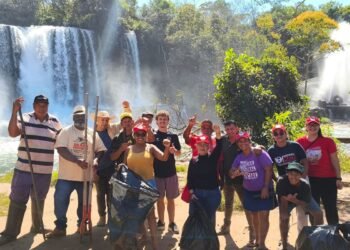 Sem-terra plantam 5 mil mudas na semana do Meio Ambiente